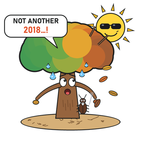 Cartoon of a sweating beech tree under a smug sun wearing sunglasses, with a bark beetle holding a fork